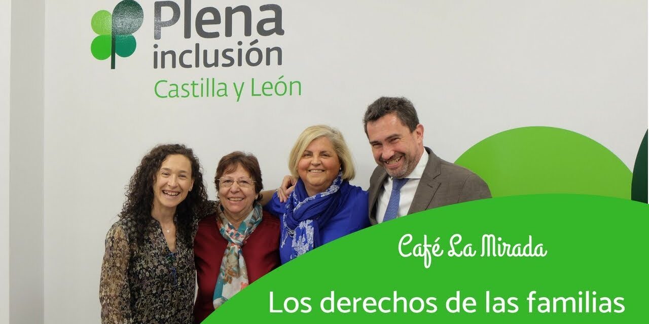 https://proyectojoven.org/wp-content/uploads/2020/10/Plena-inclusion-Solidario-Digital-1280x640.jpg