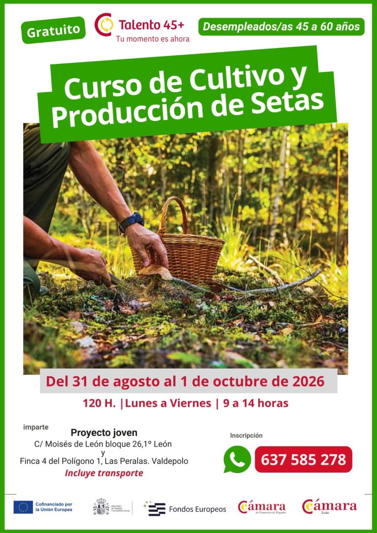 https://proyectojoven.org/wp-content/uploads/2026/08/Curso-de-cultivo-y-produccion-de-setas-768x1086.jpg