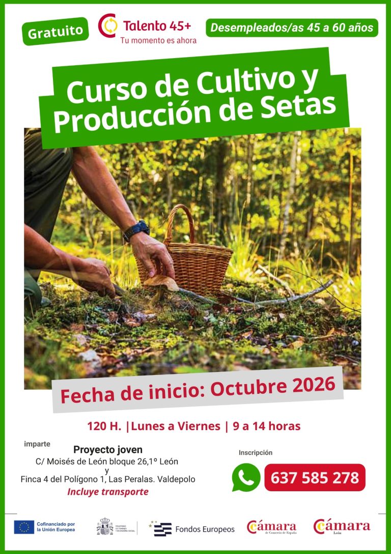 https://proyectojoven.org/wp-content/uploads/2026/09/Formacion-cultivo-setas-768x1086.jpg